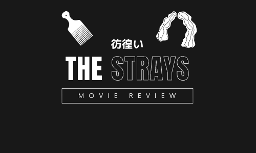【映画レビュー】The Strays / 彷徨い (2023)：イギリスで実際にあった話を元に作られた作品。